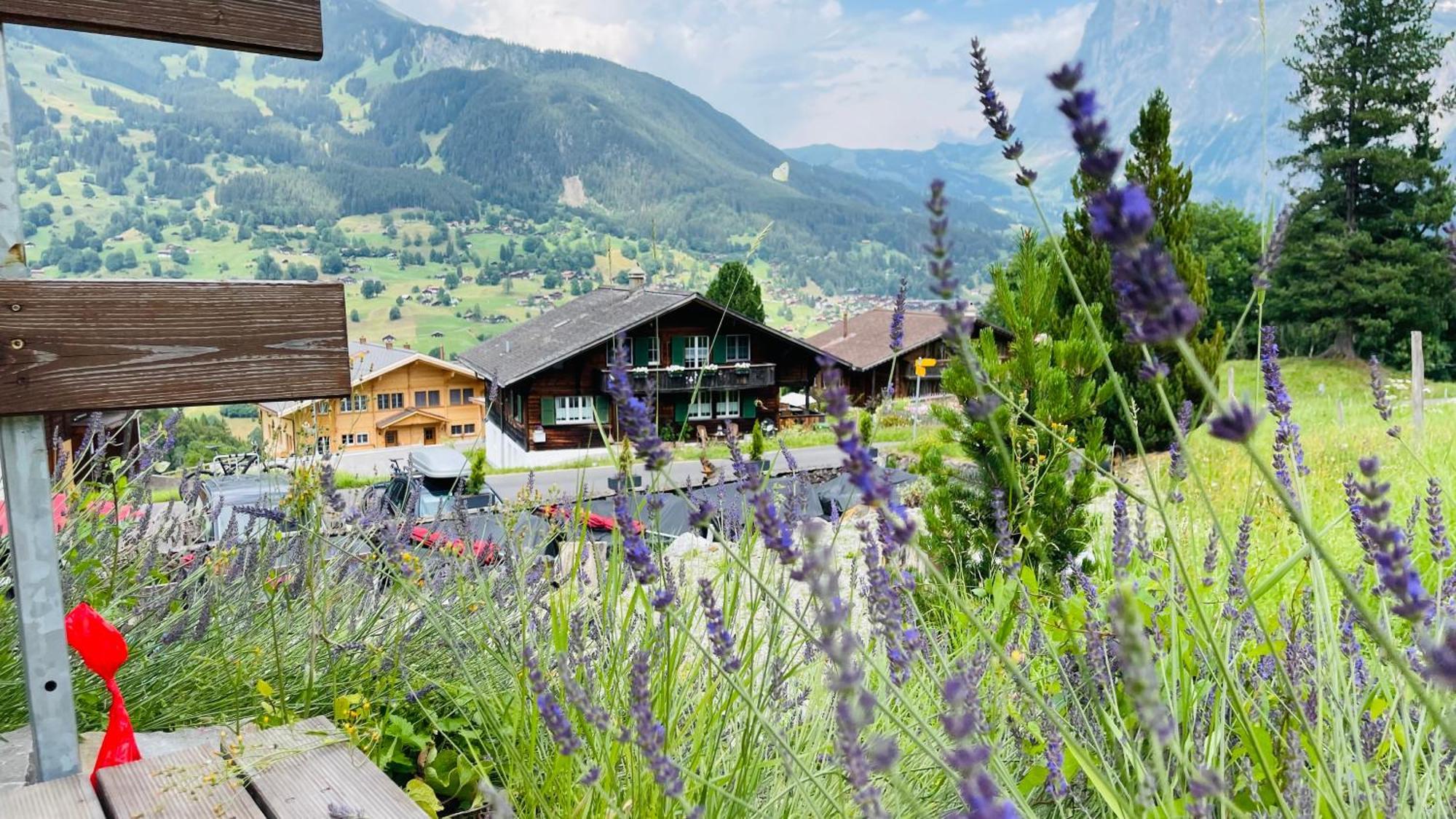 Hotel Jaegerstuebli Grindelwald Exterior photo